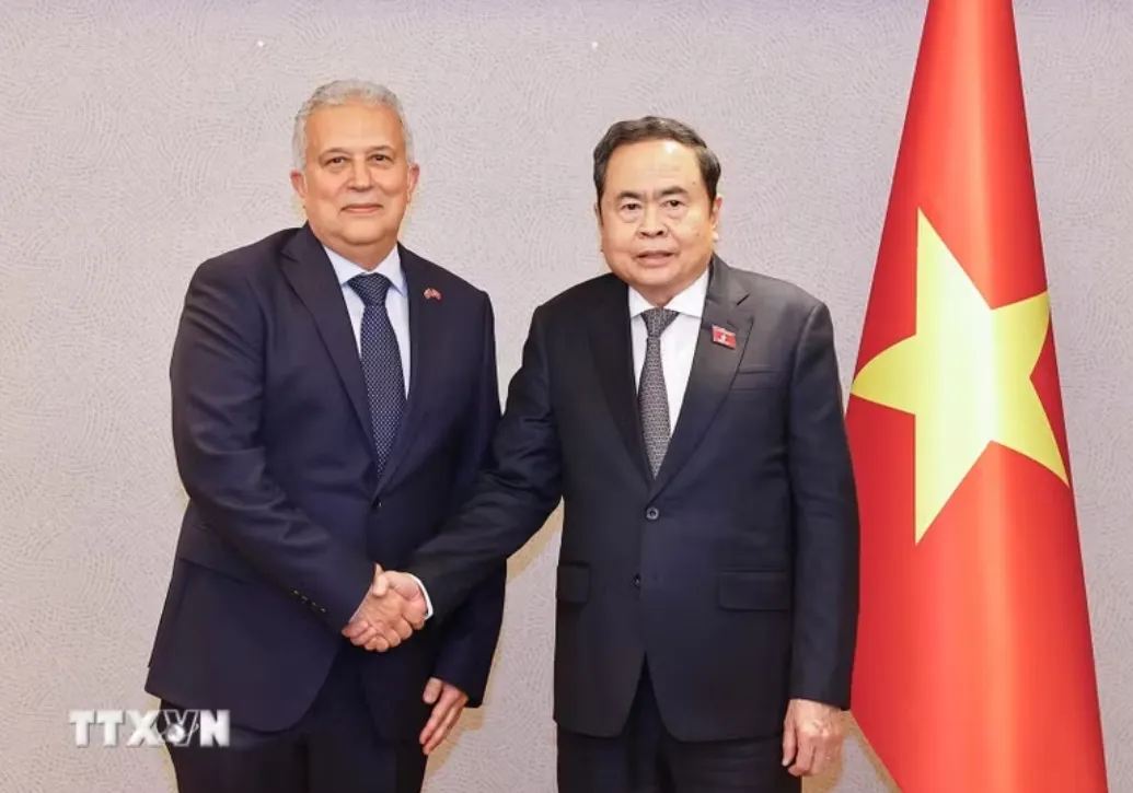 Phát huy vai trò cầu nối thúc đẩy quan hệ Việt Nam - Thổ Nhĩ Kỳ